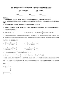 山东省莱阳市2022-2023学年七下数学期末学业水平测试试题含答案