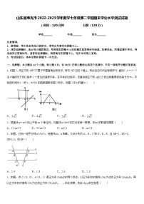 山东省寿光市2022-2023学年数学七年级第二学期期末学业水平测试试题含答案