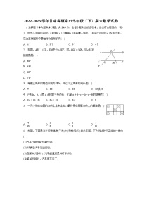 2022-2023学年甘肃省酒泉市七年级（下）期末数学试卷（含解析）