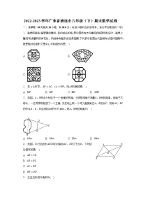 2022-2023学年广东省清远市八年级（下）期末数学试卷（含解析）