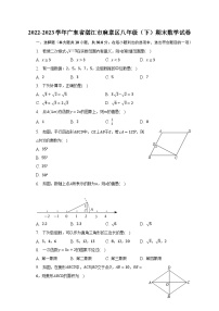 2022-2023学年广东省湛江市麻章区八年级（下）期末数学试卷（含解析）