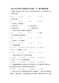 2022-2023学年广西梧州市七年级（下）期中数学试卷（含解析）