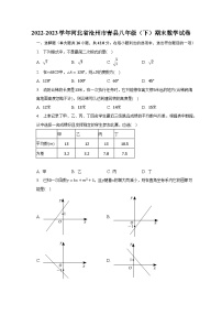 2022-2023学年河北省沧州市青县八年级（下）期末数学试卷（含解析）