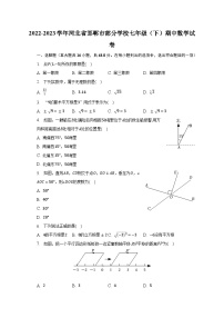 2022-2023学年河北省邯郸市部分学校七年级（下）期中数学试卷（含解析）