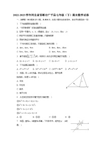 2022-2023学年河北省邯郸市广平县七年级（下）期末数学试卷（含解析）