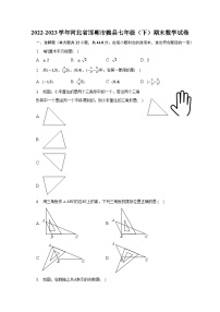 2022-2023学年河北省邯郸市魏县七年级（下）期末数学试卷（含解析）