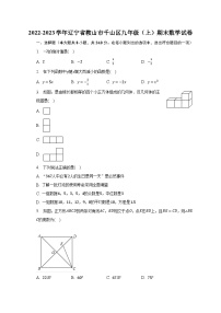 2022-2023学年辽宁省鞍山市千山区九年级（上）期末数学试卷（含解析）