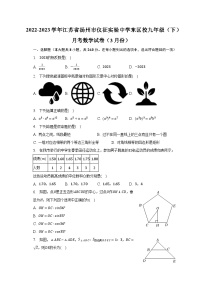 2022-2023学年江苏省扬州市仪征实验中学东区校九年级（下）月考数学试卷（3月份）（含解析）