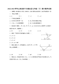 2022-2023学年山东省济宁市泗水县七年级（下）期中数学试卷（含解析）