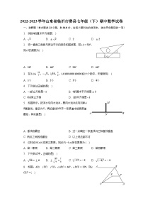 2022-2023学年山东省临沂市费县七年级（下）期中数学试卷（含解析）