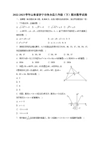 2022-2023学年山东省济宁市鱼台县八年级（下）期末数学试卷（含解析）