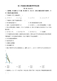 2022-2023学年度吉林省长市东北师大附中明珠校区九年级上学期期中数学试题