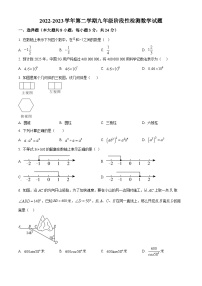 2022-2023学年度吉林省长市东北师范大学附属中学九年级下学期阶段测试数学试卷