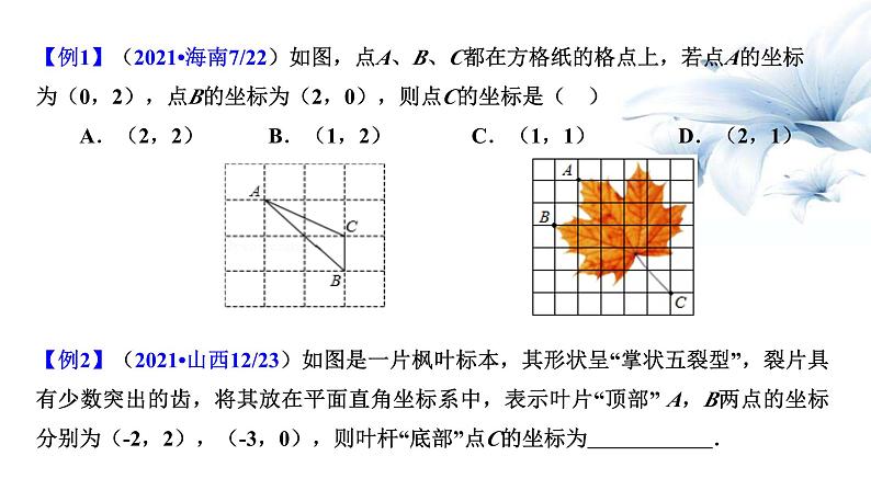 平面直角坐标系及函数-中考数学一轮复习课件第5页