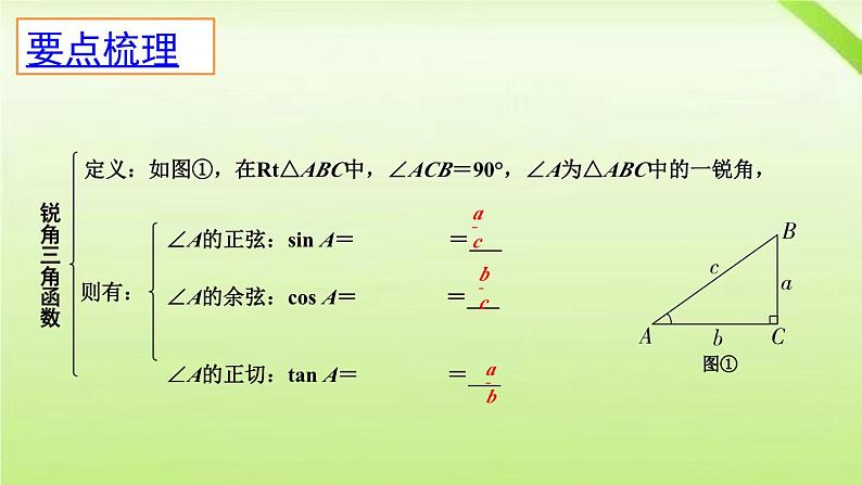 锐角三角函数及其应用-中考数学一轮复习课件第8页