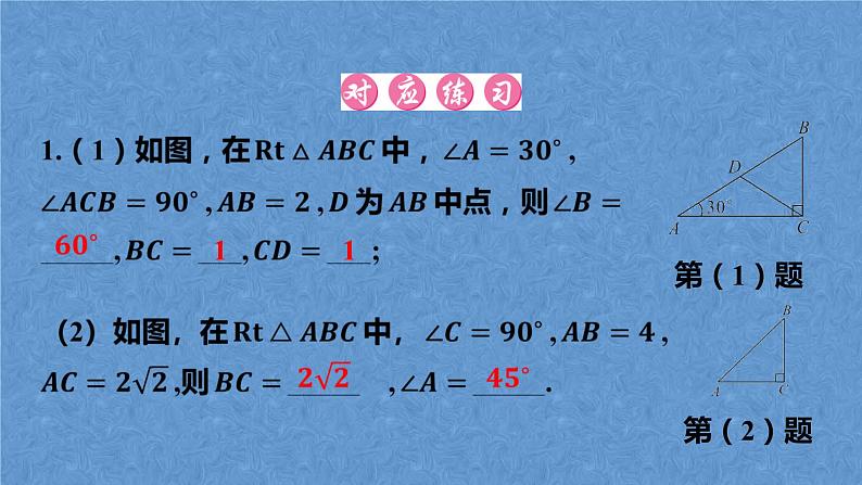 中考数学复习专题课件-锐角三角函数04