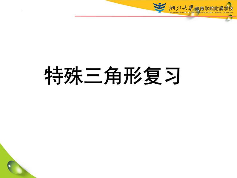 中考数学二轮复习：特殊三角形复习课件01