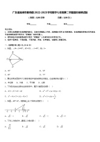 广东省高州市谢鸡镇2022-2023学年数学七年级第二学期期末调研试题含答案