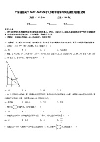 广东省韶关市2022-2023学年七下数学期末教学质量检测模拟试题含答案