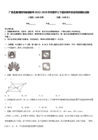 广西北部湾四市同城联考2022-2023学年数学七下期末教学质量检测模拟试题含答案