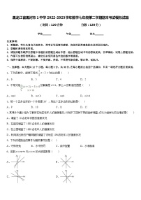 黑龙江省黑河市1中学2022-2023学年数学七年级第二学期期末考试模拟试题含答案