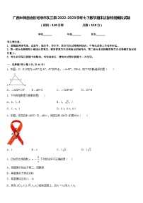 广西壮族自治区河池市东兰县2022-2023学年七下数学期末达标检测模拟试题含答案