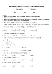 广西壮族自治区北海市2022-2023学年七下数学期末综合测试试题含答案