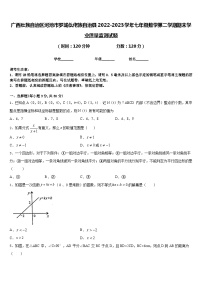 广西壮族自治区河池市罗城仫佬族自治县2022-2023学年七年级数学第二学期期末学业质量监测试题含答案