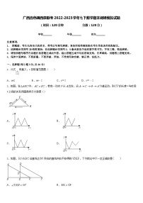 广西百色靖西县联考2022-2023学年七下数学期末调研模拟试题含答案