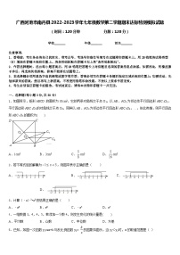 广西河池市南丹县2022-2023学年七年级数学第二学期期末达标检测模拟试题含答案