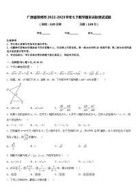 广西省贺州市2022-2023学年七下数学期末达标测试试题含答案