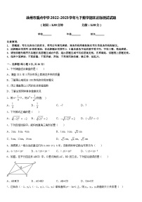 徐州市重点中学2022-2023学年七下数学期末达标测试试题含答案