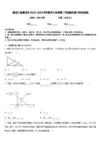 黑龙江省黑河市2022-2023学年数学七年级第二学期期末复习检测试题含答案