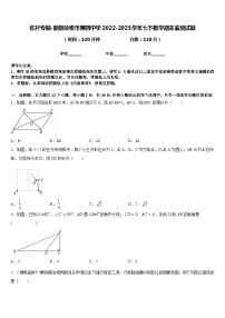 杠杆专题-新疆哈密市第四中学2022-2023学年七下数学期末监测试题含答案