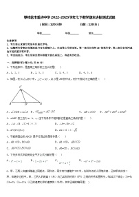 攀枝花市重点中学2022-2023学年七下数学期末达标测试试题含答案