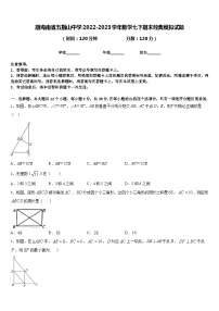 期海南省五指山中学2022-2023学年数学七下期末经典模拟试题含答案