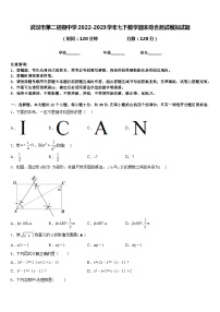 武汉市第二初级中学2022-2023学年七下数学期末综合测试模拟试题含答案