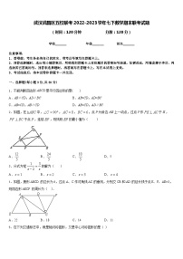 武汉武昌区五校联考2022-2023学年七下数学期末联考试题含答案