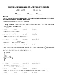 武汉新洲区六校联考2022-2023学年七下数学期末复习检测模拟试题含答案