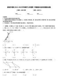 新疆沙湾县2022-2023学年数学七年级第二学期期末达标检测模拟试题含答案