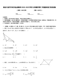 黑龙江省齐齐哈尔克山县联考2022-2023学年七年级数学第二学期期末复习检测试题含答案