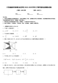 江苏省南通市通州区金北学校2022-2023学年七下数学期末监测模拟试题含答案