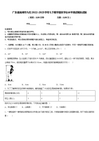 广东省高州市九校2022-2023学年七下数学期末学业水平测试模拟试题含答案