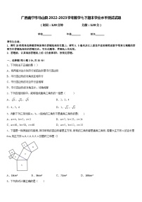 广西南宁市马山县2022-2023学年数学七下期末学业水平测试试题含答案