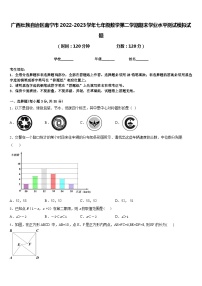 广西壮族自治区南宁市2022-2023学年七年级数学第二学期期末学业水平测试模拟试题含答案