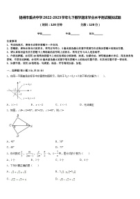 扬州市重点中学2022-2023学年七下数学期末学业水平测试模拟试题含答案