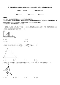 江苏省泰州市三中学教育联盟2022-2023学年数学七下期末监测试题含答案