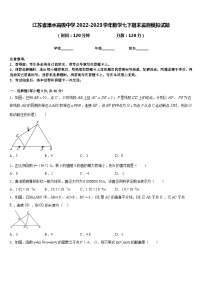 江苏省溧水高级中学2022-2023学年数学七下期末监测模拟试题含答案