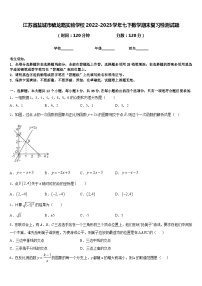 江苏省盐城市毓龙路实验学校2022-2023学年七下数学期末复习检测试题含答案