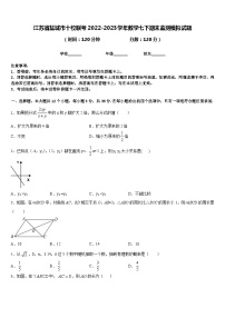 江苏省盐城市十校联考2022-2023学年数学七下期末监测模拟试题含答案